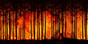 8th Global Virtual Conference on Climate Change